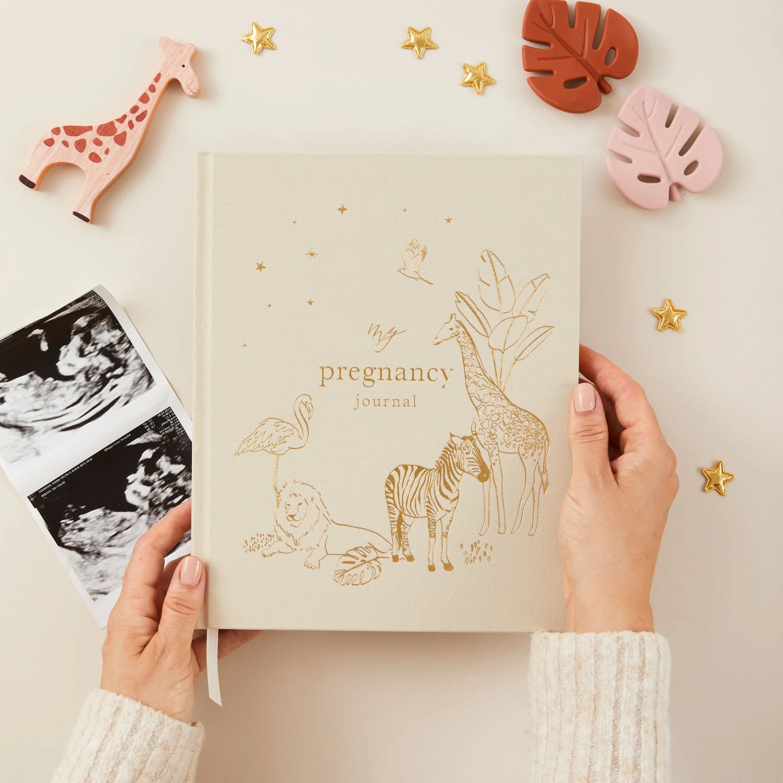 Journal selezionato da Cloette